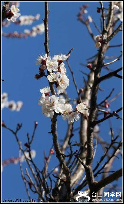 С IMG_2527.JPG