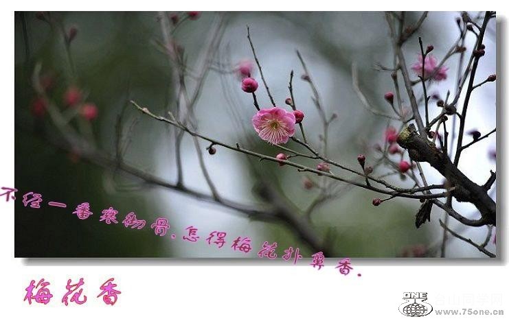 2_26375_ce5d93688968127.jpg