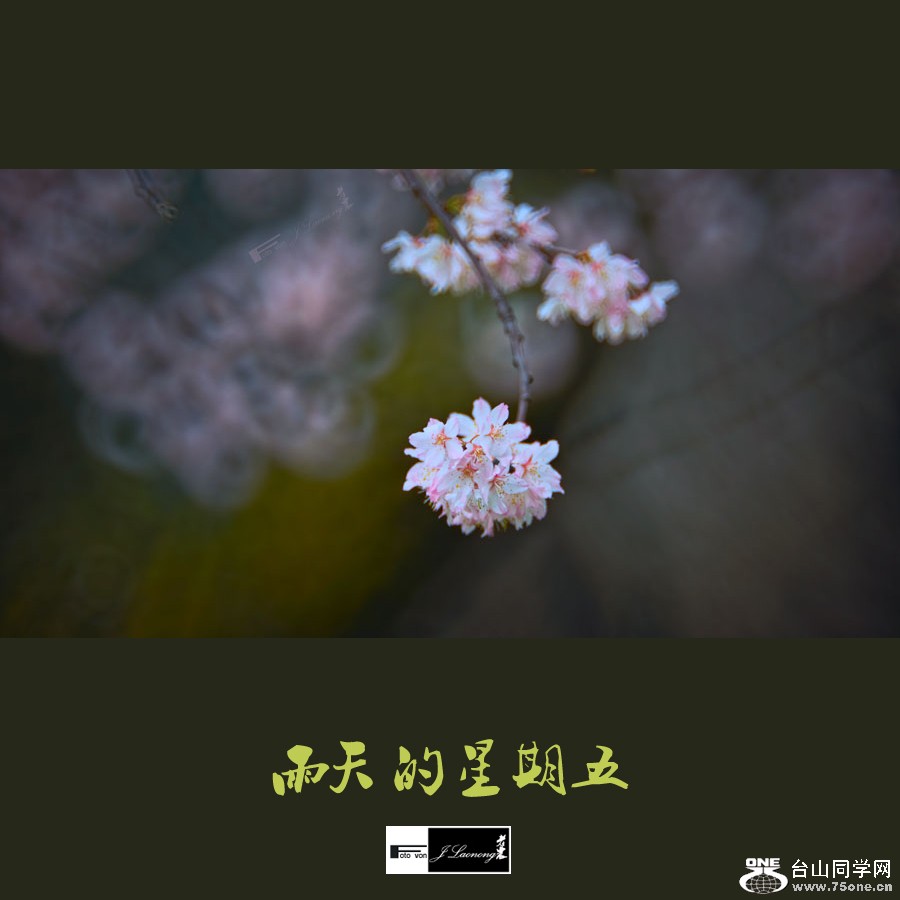 9DSD_4386.jpg