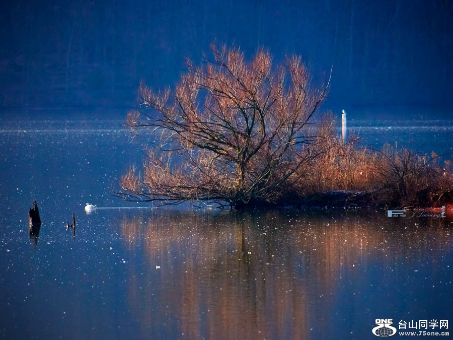 DSD_4220.jpg