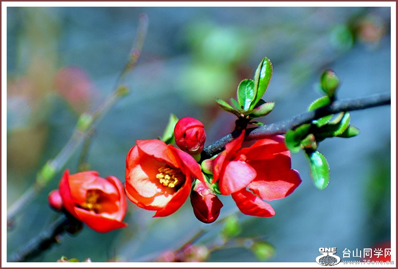 dsc_1644.jpg
