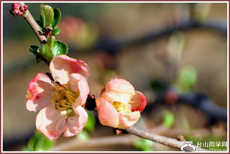 dsc_1369.jpg