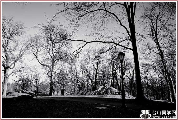 dsc_0391.jpg