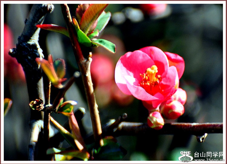 dsc_1676.jpg