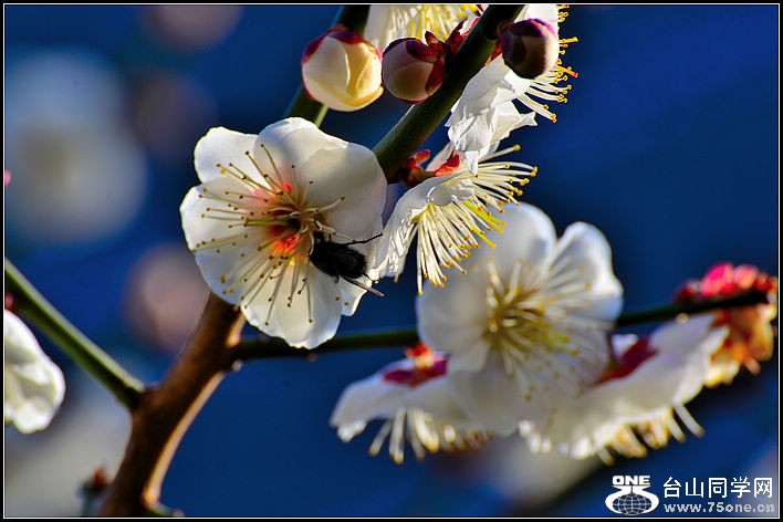 DSC_7630.jpg