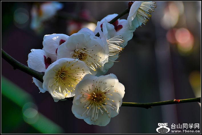 DSC_7612.jpg
