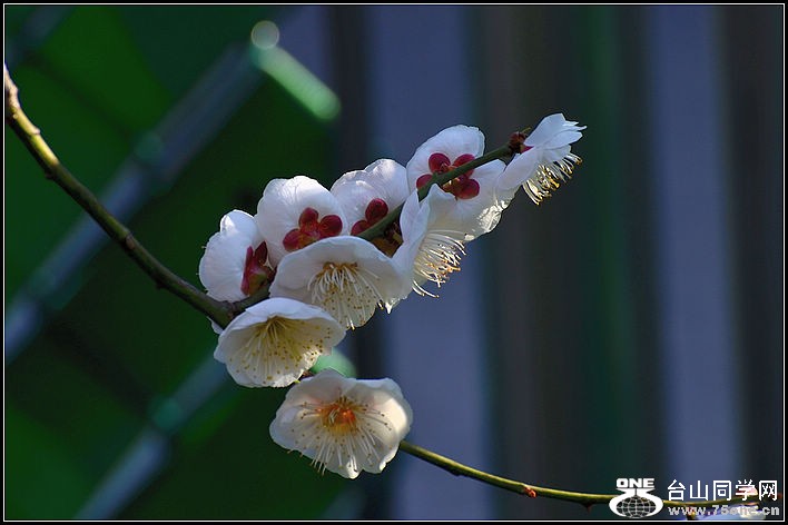 DSC_7611.jpg