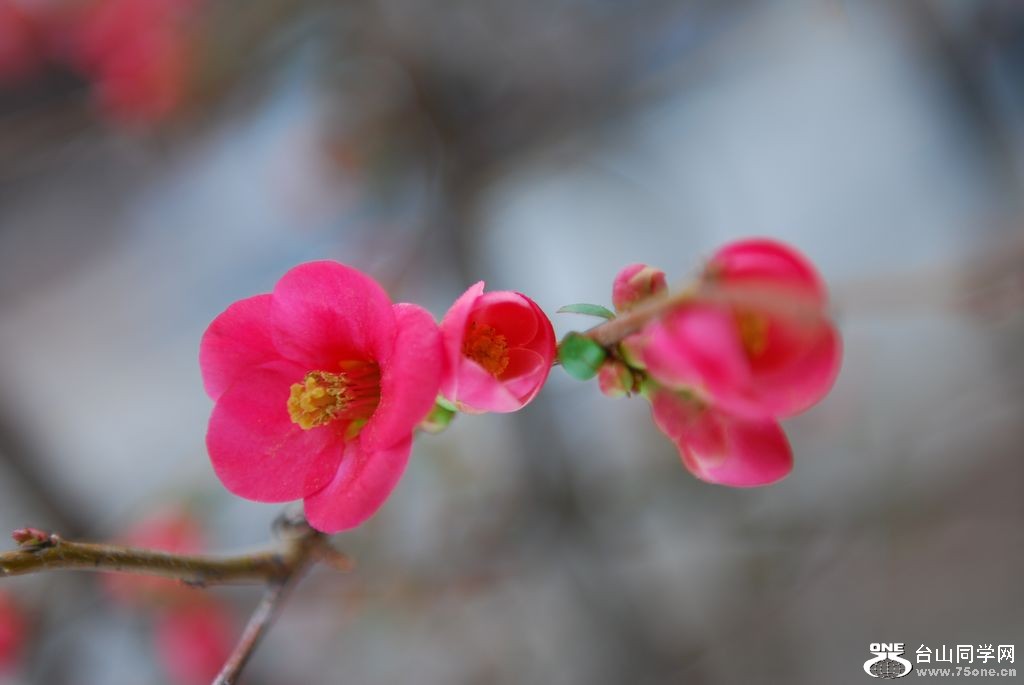 nEO_IMG_DSC_0937.jpg