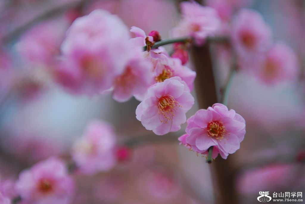 nEO_IMG_DSC_0959.jpg