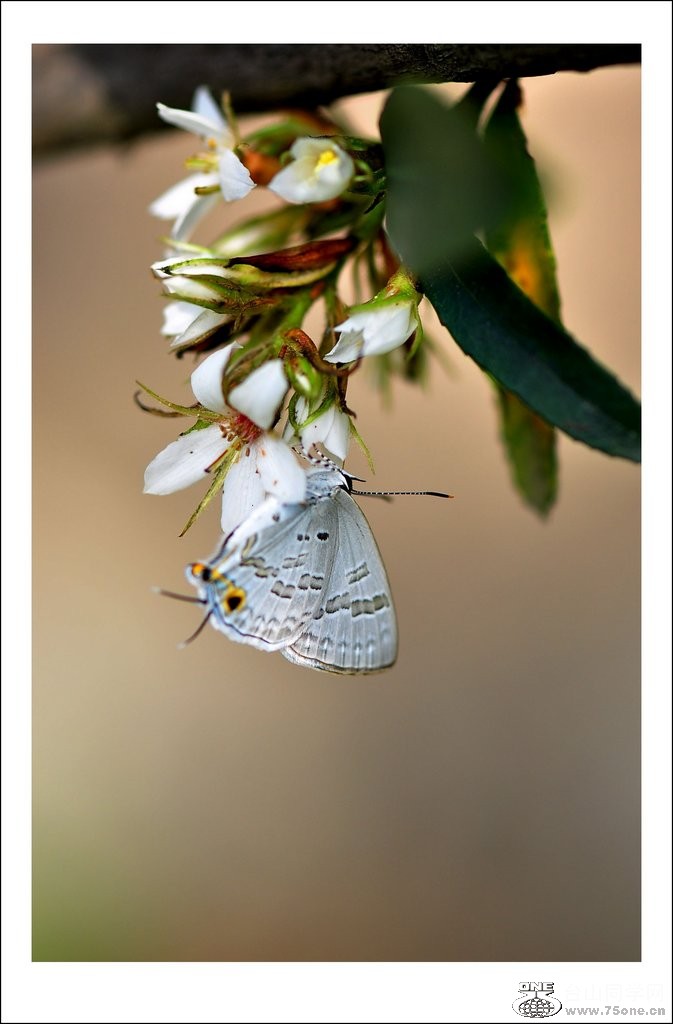 DSC_0122_conew1.jpg