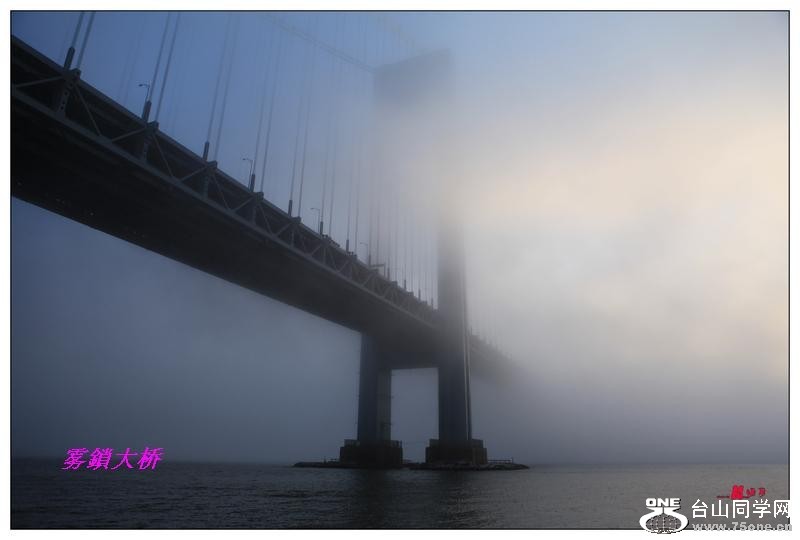 2_405_7408347d495d6c8.jpg