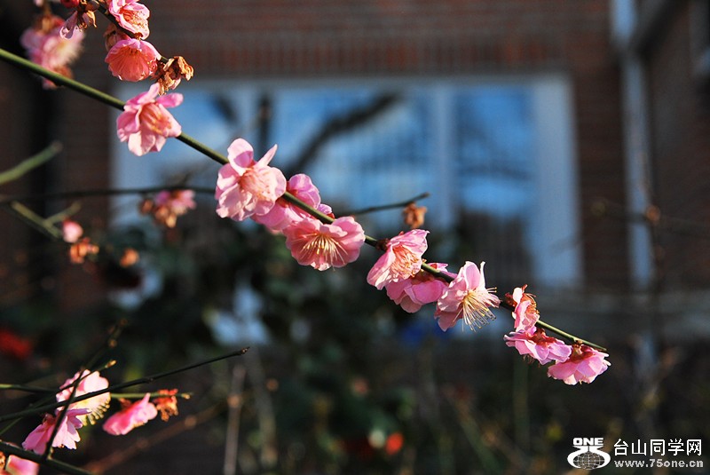 DSC_0598_.jpg