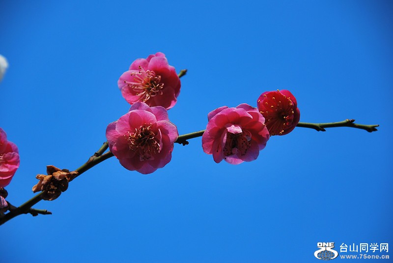 DSC_0524_.jpg