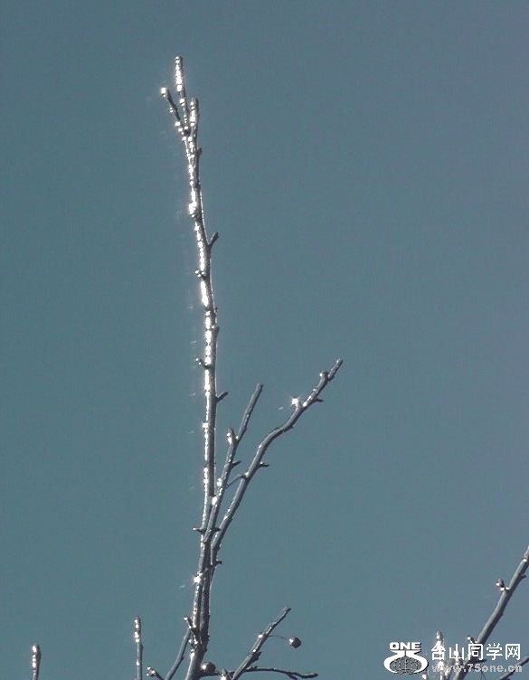 2012_032010062.JPG