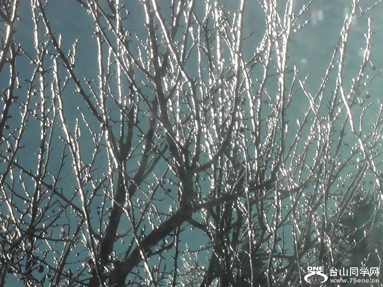2012_032010006.JPG