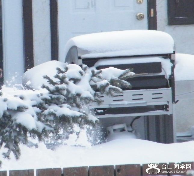 DSCF2685.JPG