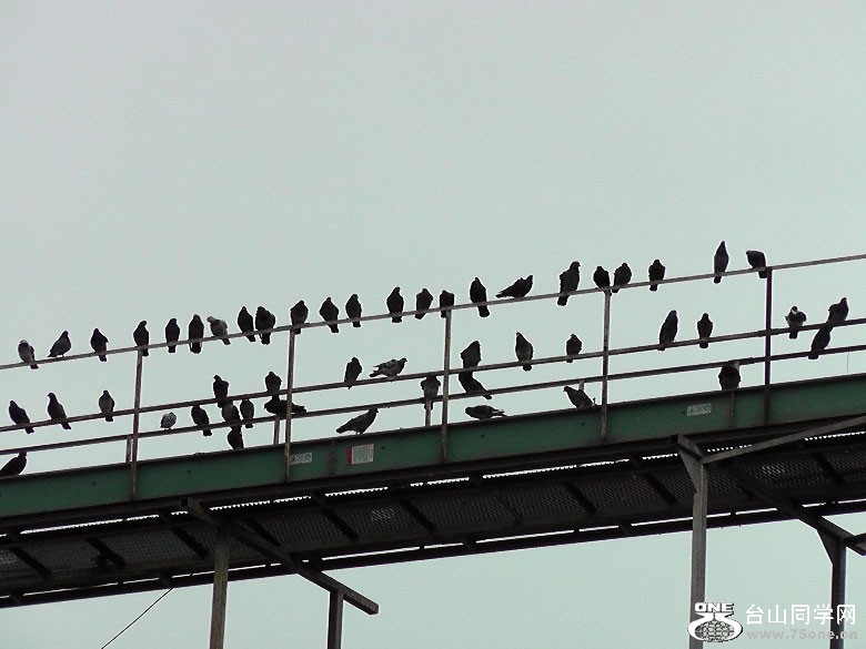 2012_031710131.JPG