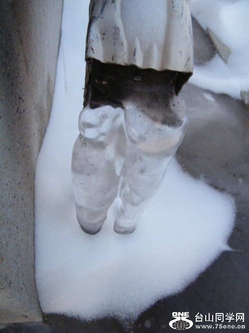 DSCF2455.JPG