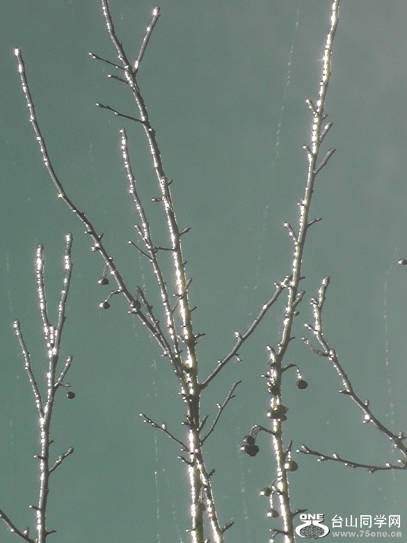 2012_032010036.JPG