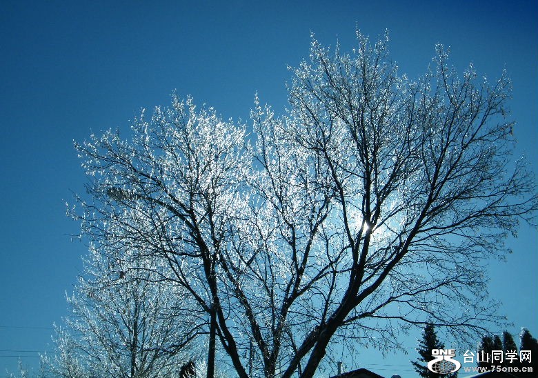 DSCF2999.JPG
