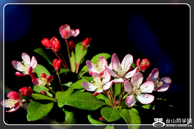 dsc_0756.jpg