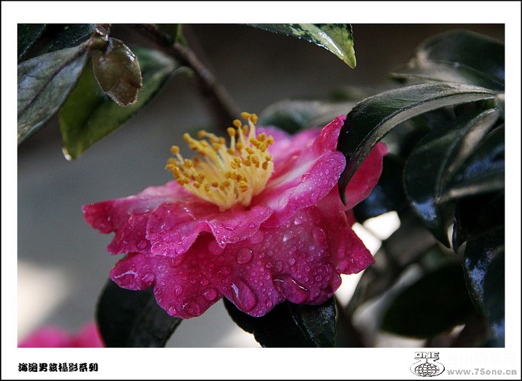 IMG_3094_conew1.jpg