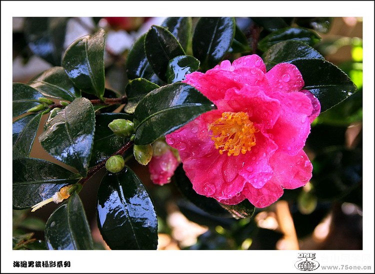 IMG_3065_conew1.jpg