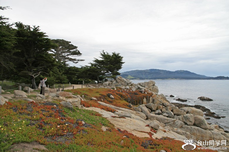 IMG_5724.jpg