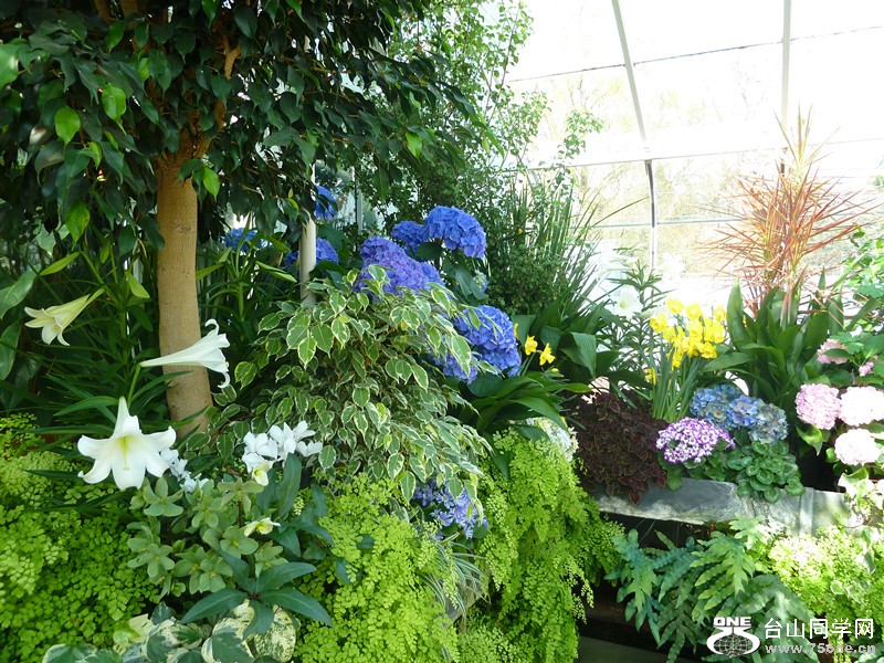 P1040072_.jpg