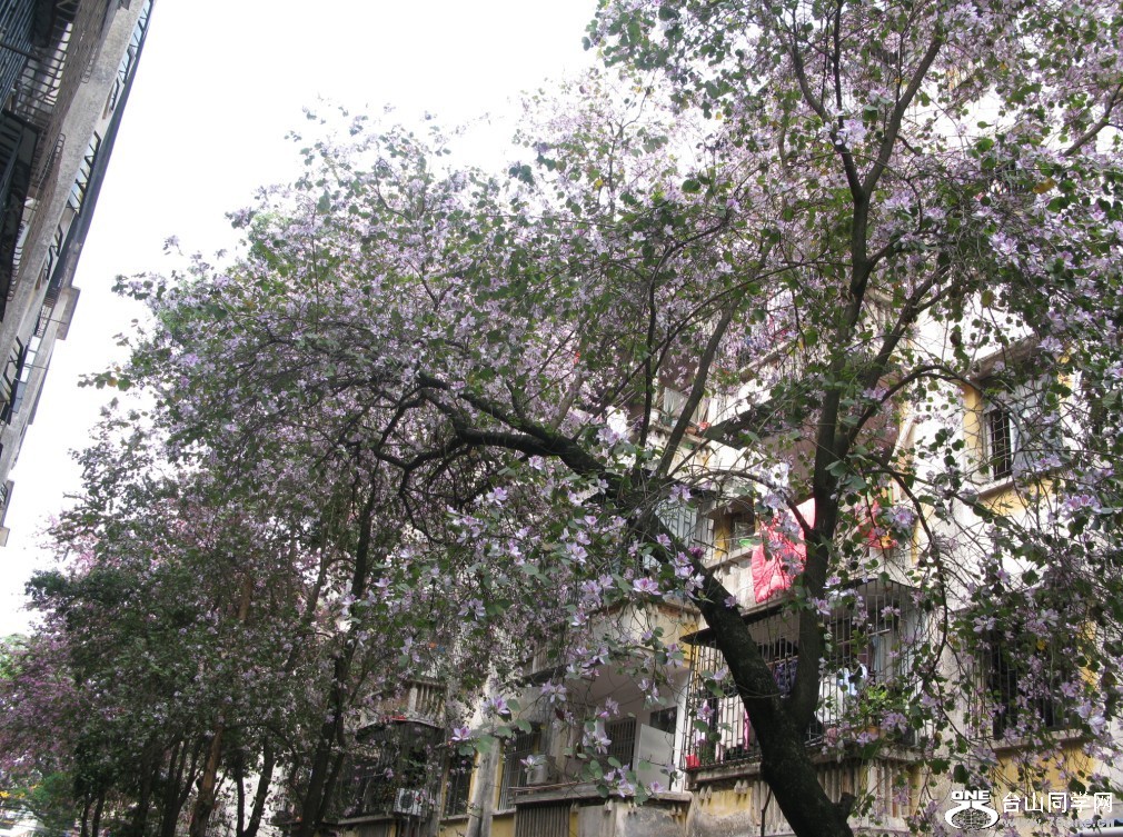 114.jpg