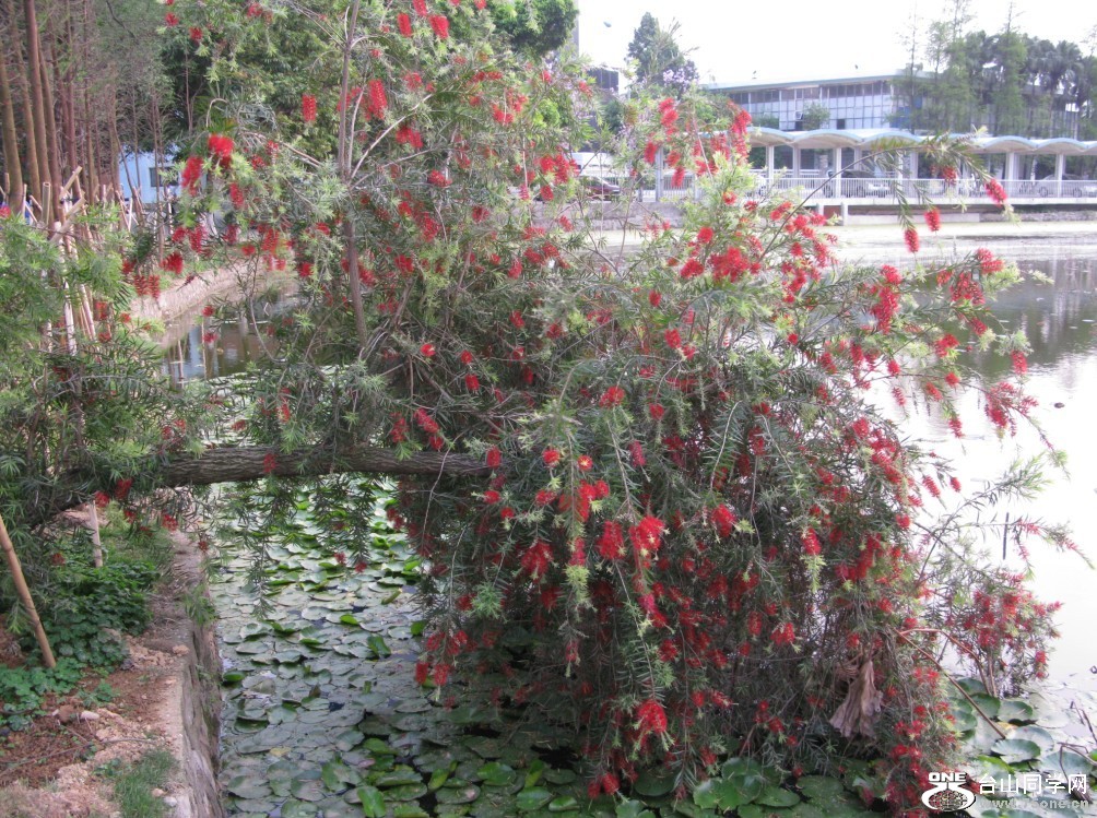 104.jpg