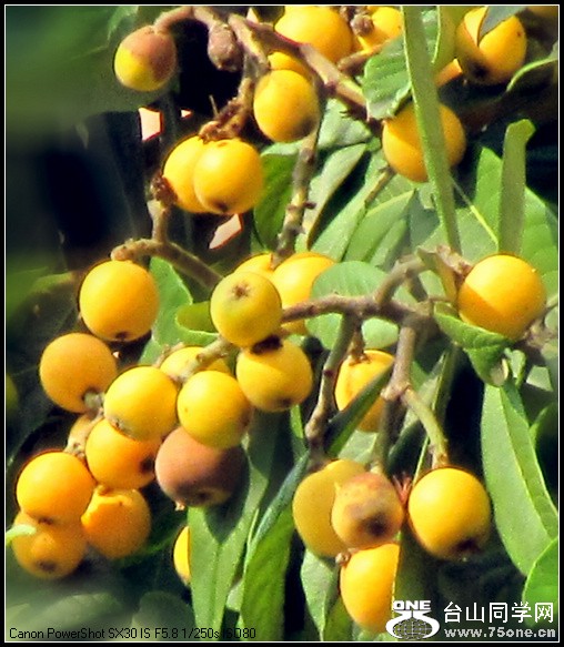 ԰ĺ 010.jpg