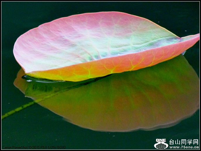 ԰ĺ 064.jpg