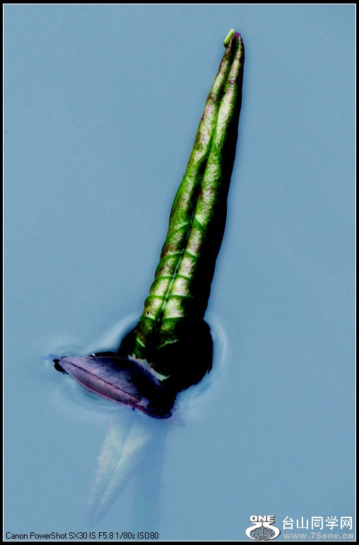 ԰ĺ 092.jpg