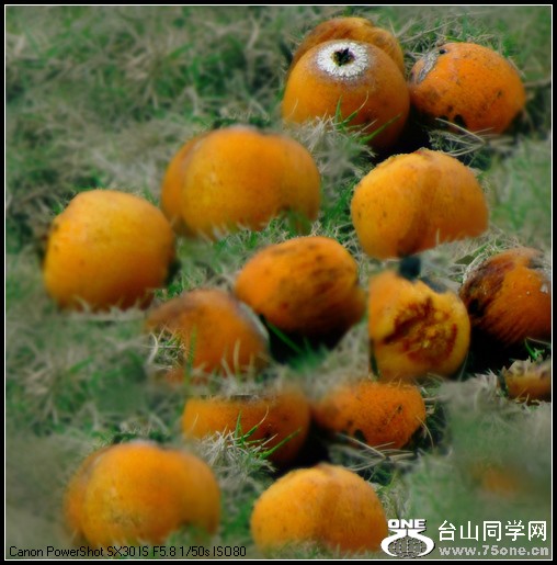 ԰ĺ 060.jpg