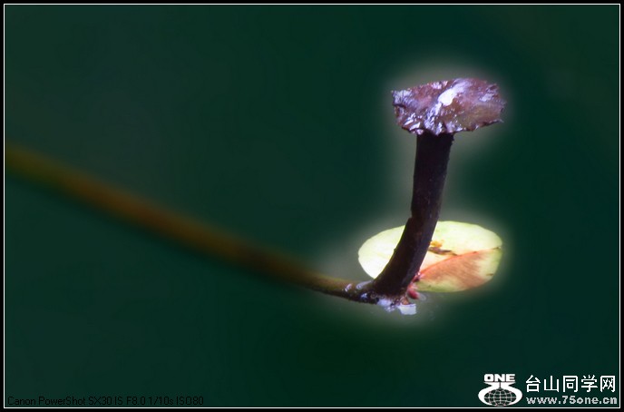 ԰ĺ 078.jpg