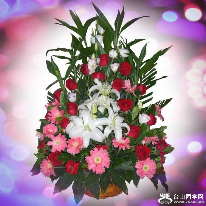 19_34326_4f63e96ac820f62-copy.jpg