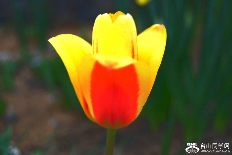 DSC_1179.JPG