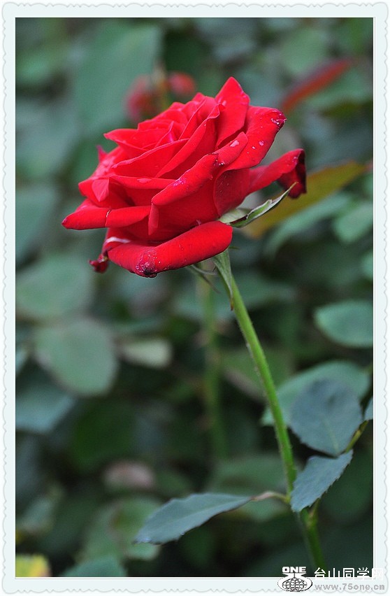 DSC_0059.JPG