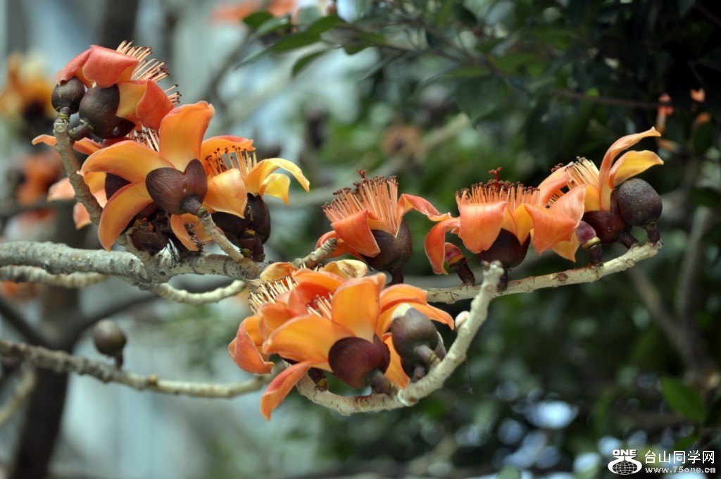 _CSC0822 [1024x768].JPG