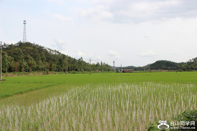 2012.4.14 321.jpg