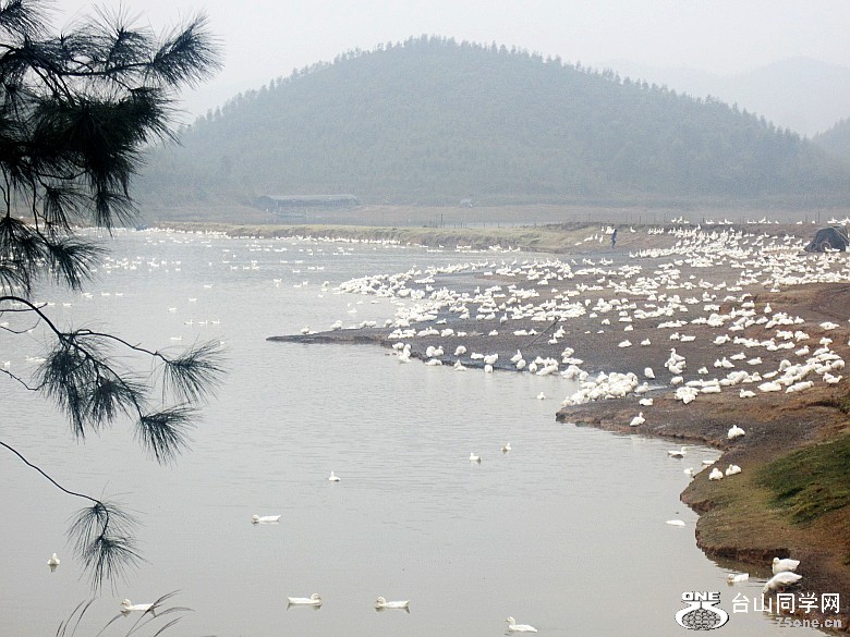 2012.3.3 079_conew1.jpg