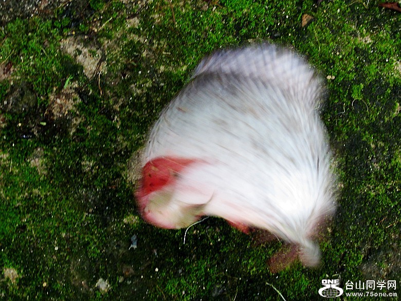 ϴ塢 189_conew1.jpg