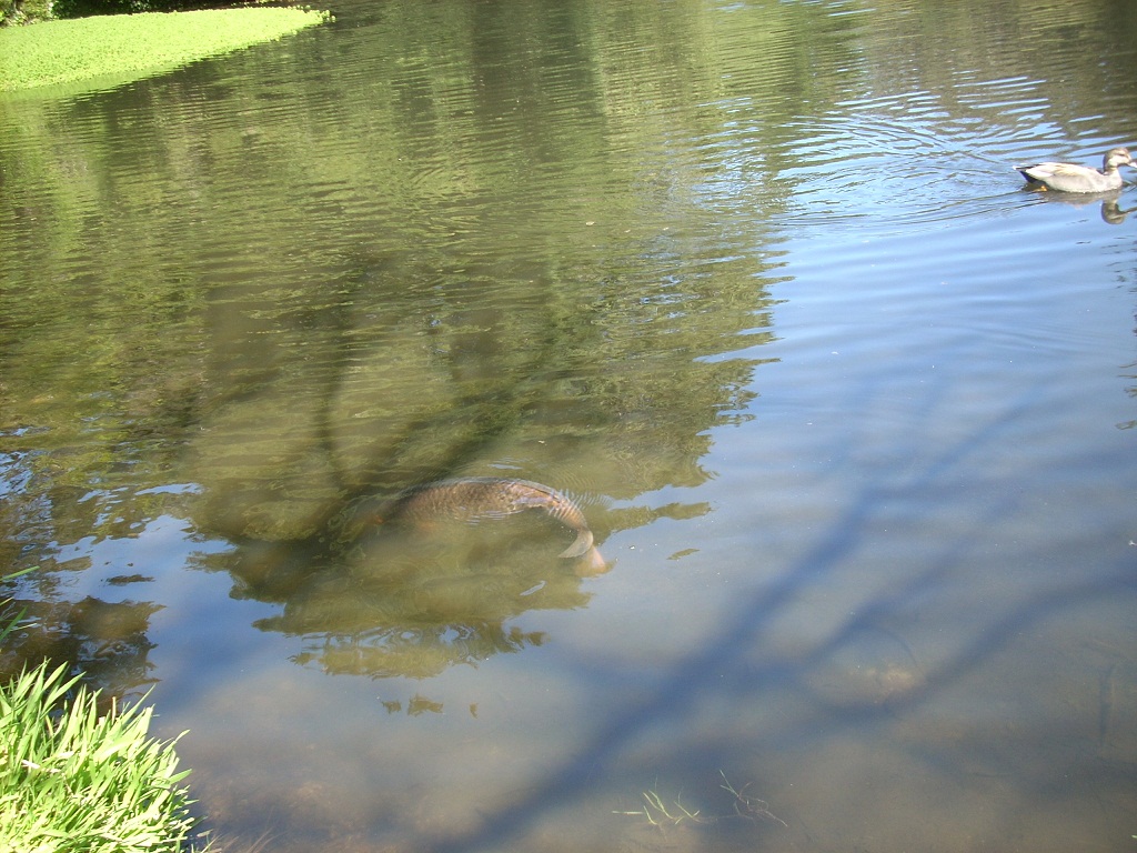 DSCN4457.JPG