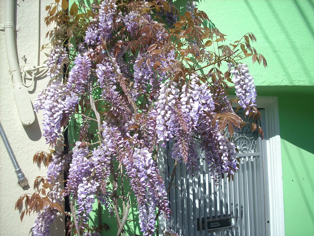 DSCN4428.JPG