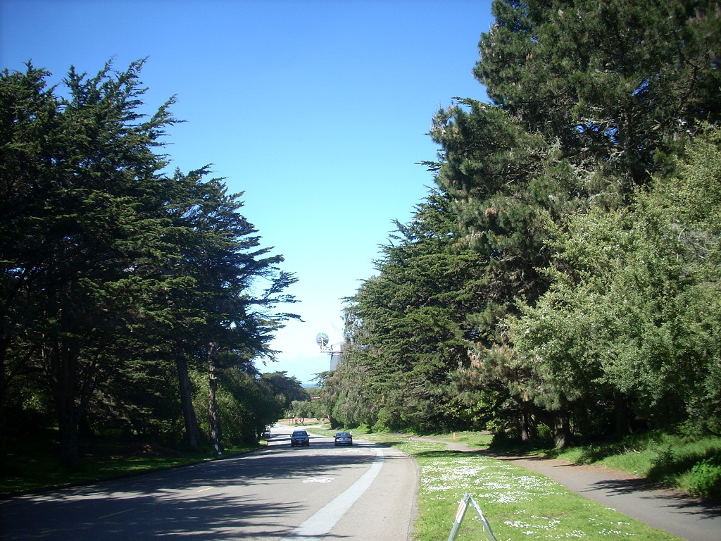 DSCN4434.JPG