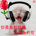 3521_411a1316008302facac1062aaa272.gif