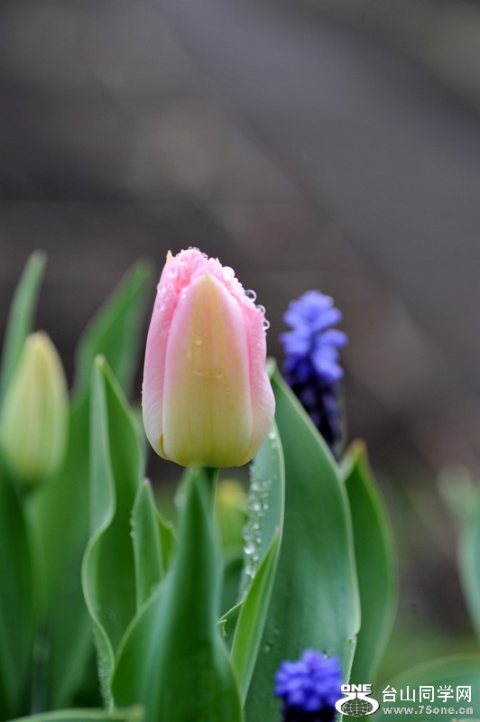 DSC_0679.jpg