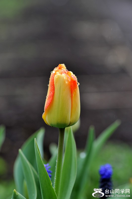 DSC_0677.jpg
