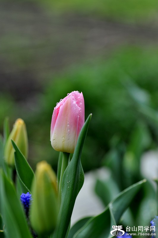 DSC_0678.jpg